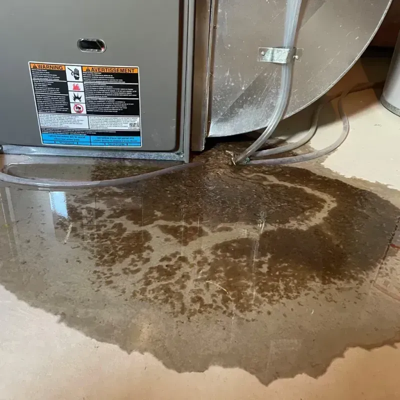 Appliance Leak Cleanup in Pickens County, SC